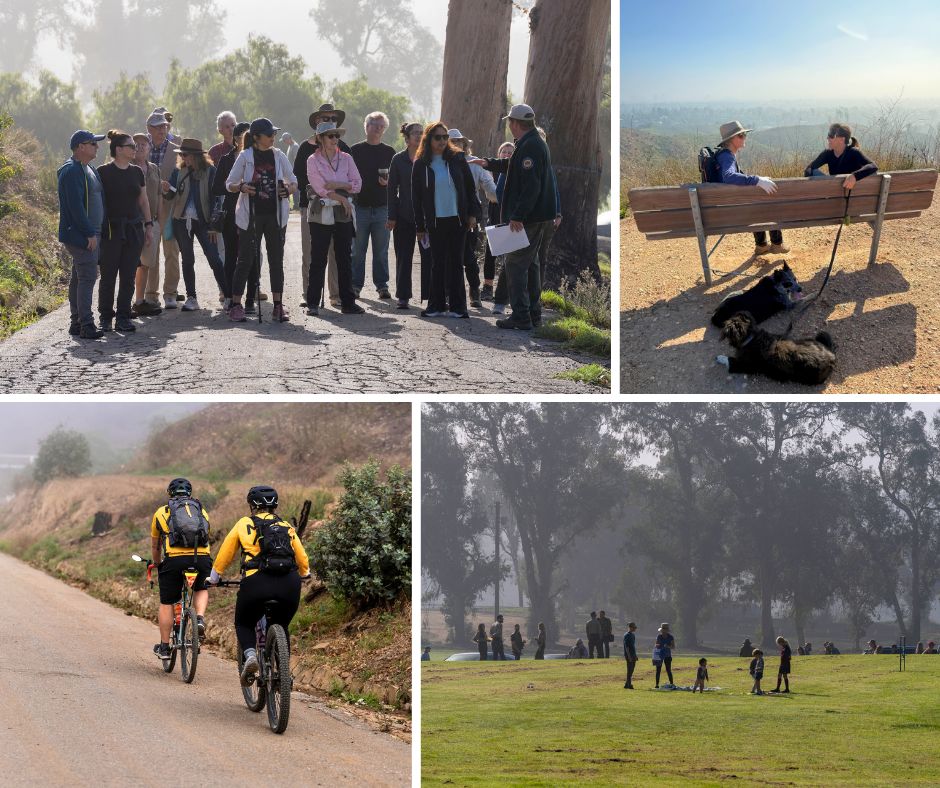 Will rogers Collage 2